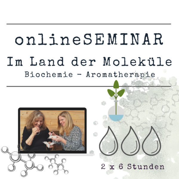 onlineSEMINAR Im Land der Moleküle