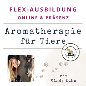 Flex-Ausbildung Aromatherapie für Tiere