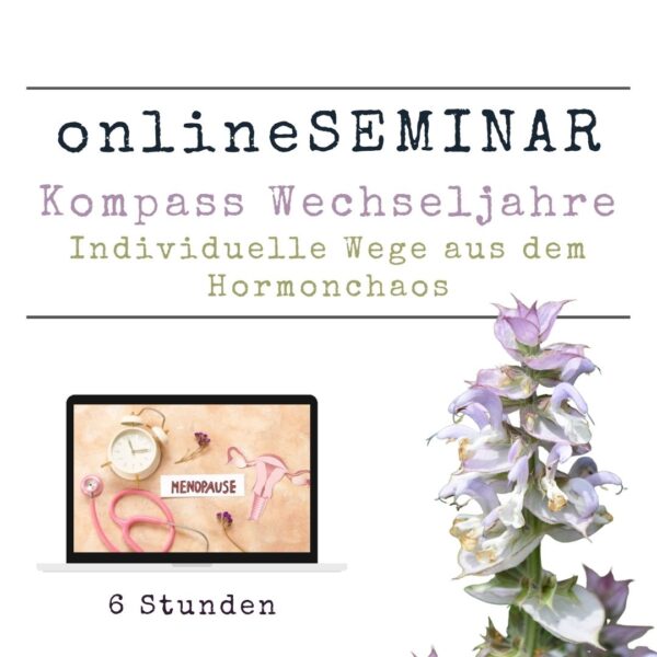 onlineSEMINAR Kompass Wechseljahre - Individuelle Wege aus dem Hormonchaos